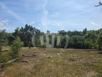 Terreno Agricola ou Rústico para Venda em Santiago do Cacém, Santa Cruz e São Bartolomeu da Serra