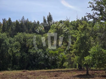 Terreno Agricola ou Rústico para Venda em Santiago do Cacém, Santa Cruz e São Bartolomeu da Serra