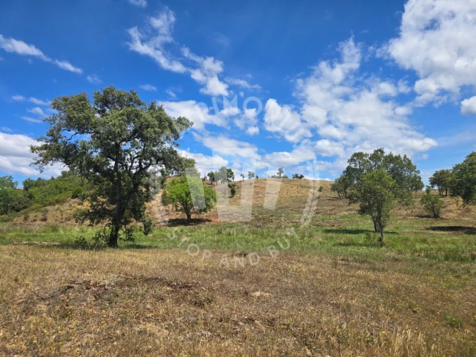 Terreno Agricola ou Rústico para Venda em Santiago do Cacém, Santa Cruz e São Bartolomeu da Serra Foto 7