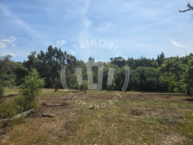 Terreno Agricola ou Rústico para Venda em Santiago do Cacém, Santa Cruz e São Bartolomeu da Serra Foto 9