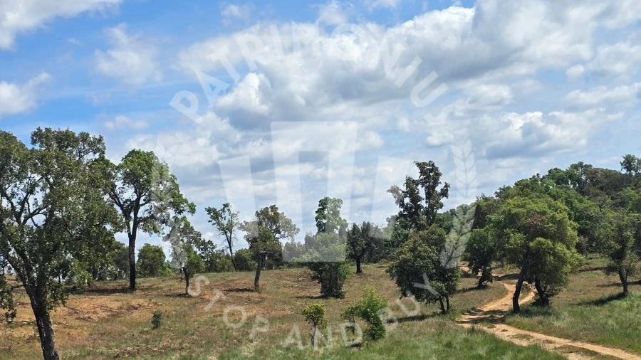 Terreno Agricola ou Rústico para Venda em Santiago do Cacém, Santa Cruz e São Bartolomeu da Serra
