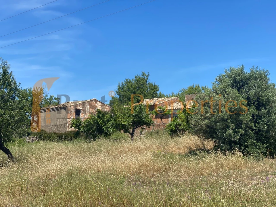 Terreno para Venda em Loule (São Sebastião) Foto 3