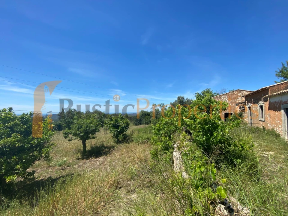 Terreno para Venda em Loule (São Sebastião) Foto 4
