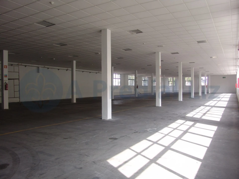 Armazém para Arrendamento em Paranhos Foto 3
