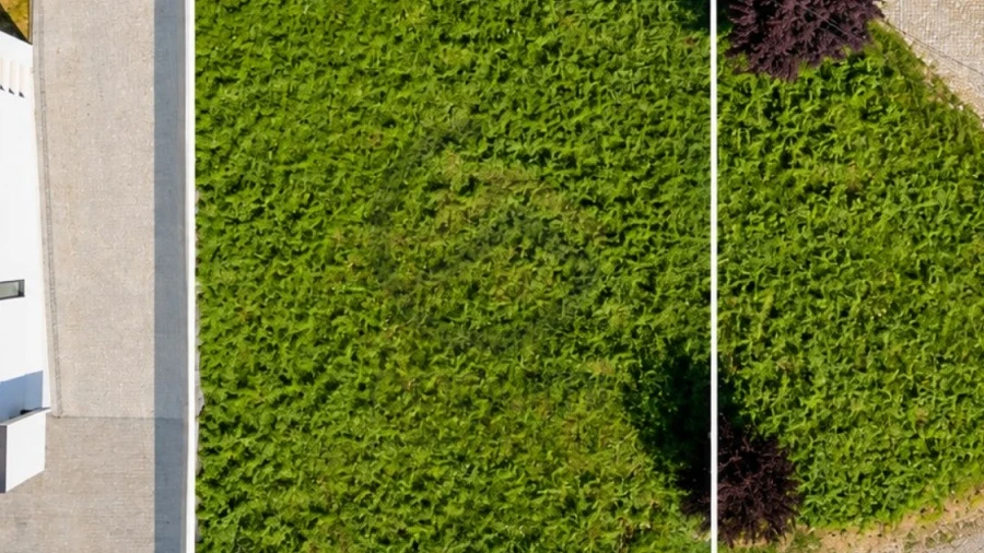 Terreno para Venda em Figueiró (Santiago e Santa Cristina)