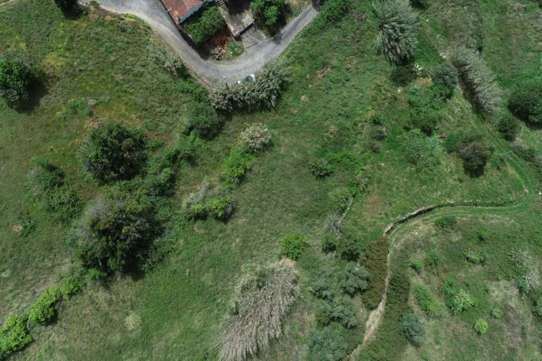 Terreno para Venda em Maxial e Monte Redondo Foto 10