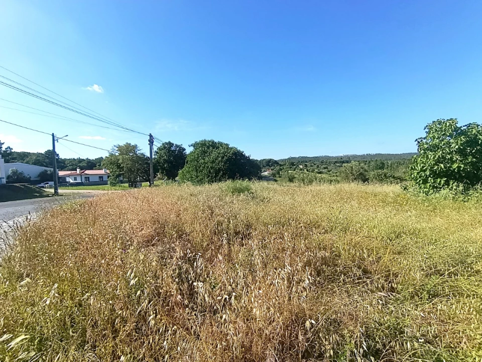 Terreno para Venda em Sardoal Foto 2