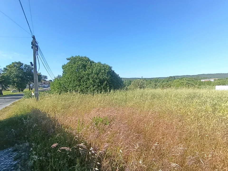 Terreno para Venda em Sardoal Foto 4