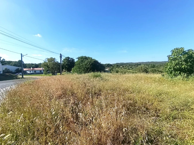 Terreno para Venda em Sardoal Foto 2