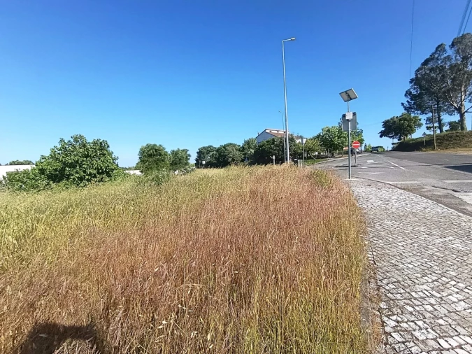 Terreno para Venda em Sardoal Foto 3