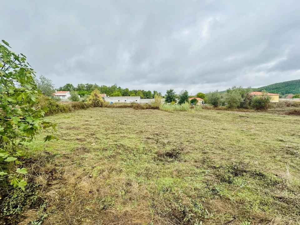 Terreno para Venda em Abrantes (São Vicente e São João) e Alferrarede Foto 16