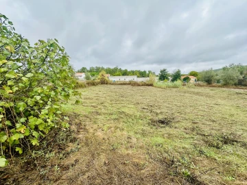 Terreno para Venda em Abrantes (São Vicente e São João) e Alferrarede