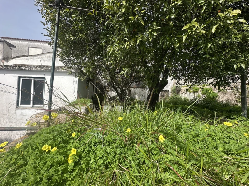 Moradia T4 para Venda em Abrantes (São Vicente e São João) e Alferrarede Foto 33