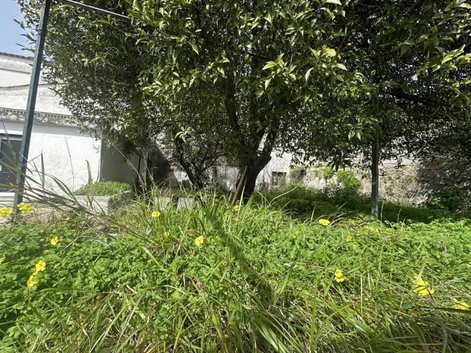 Moradia T4 para Venda em Abrantes (São Vicente e São João) e Alferrarede Foto 34