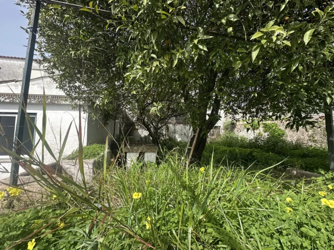 Moradia T4 para Venda em Abrantes (São Vicente e São João) e Alferrarede Foto 28