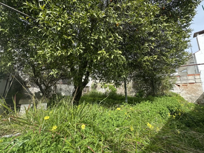 Moradia T4 para Venda em Abrantes (São Vicente e São João) e Alferrarede Foto 32