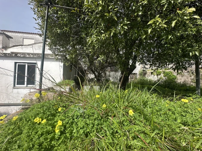 Moradia T4 para Venda em Abrantes (São Vicente e São João) e Alferrarede Foto 33