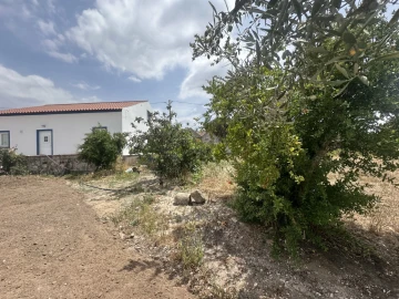 Moradia T6 para Venda em Alvega e Concavada