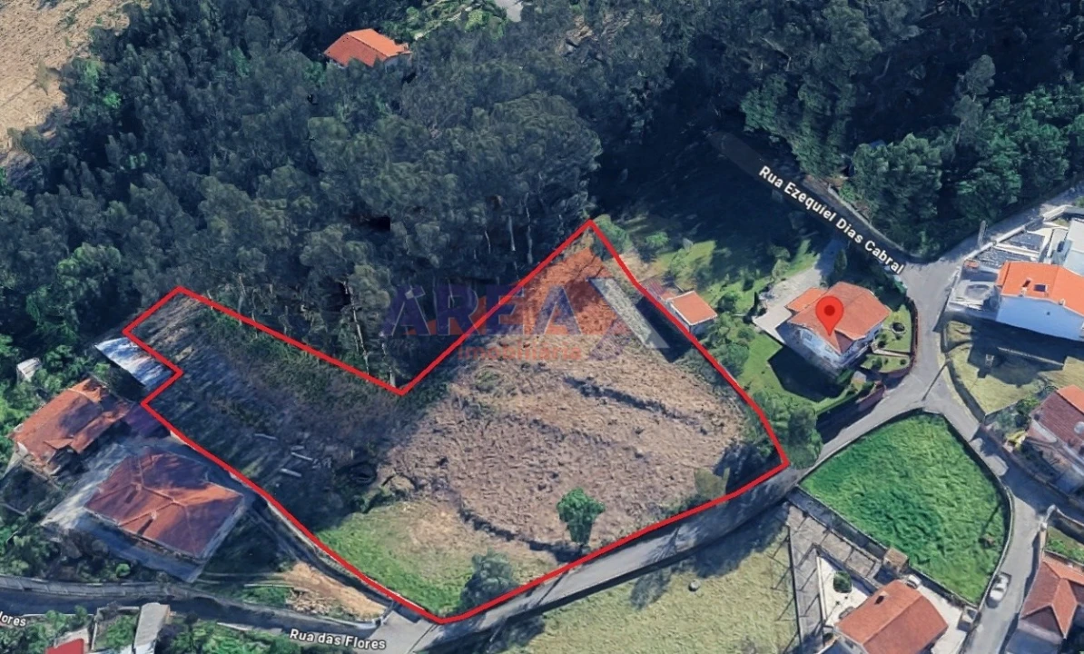 Terreno para Venda em Pinheiro da Bemposta, Travanca e Palmaz Foto 1