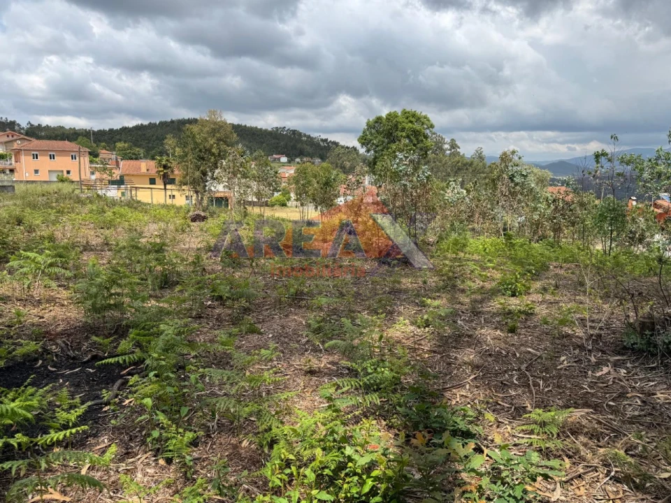 Terreno para Venda em Pinheiro da Bemposta, Travanca e Palmaz Foto 4