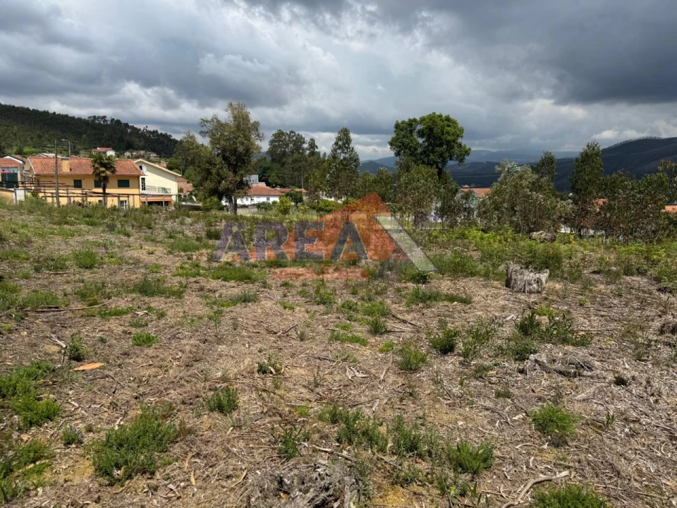 Terreno para Venda em Pinheiro da Bemposta, Travanca e Palmaz Foto 6