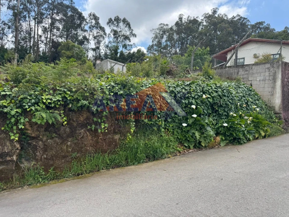 Terreno para Venda em Pinheiro da Bemposta, Travanca e Palmaz Foto 8