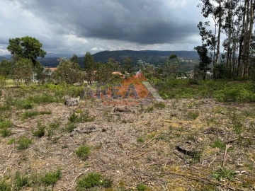 Terreno para Venda em Pinheiro da Bemposta, Travanca e Palmaz