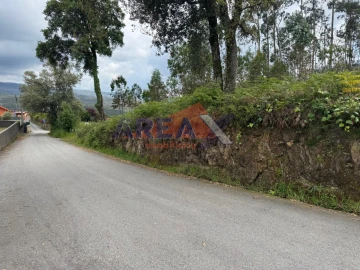 Terreno para Venda em Pinheiro da Bemposta, Travanca e Palmaz