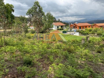 Terreno para Venda em Pinheiro da Bemposta, Travanca e Palmaz