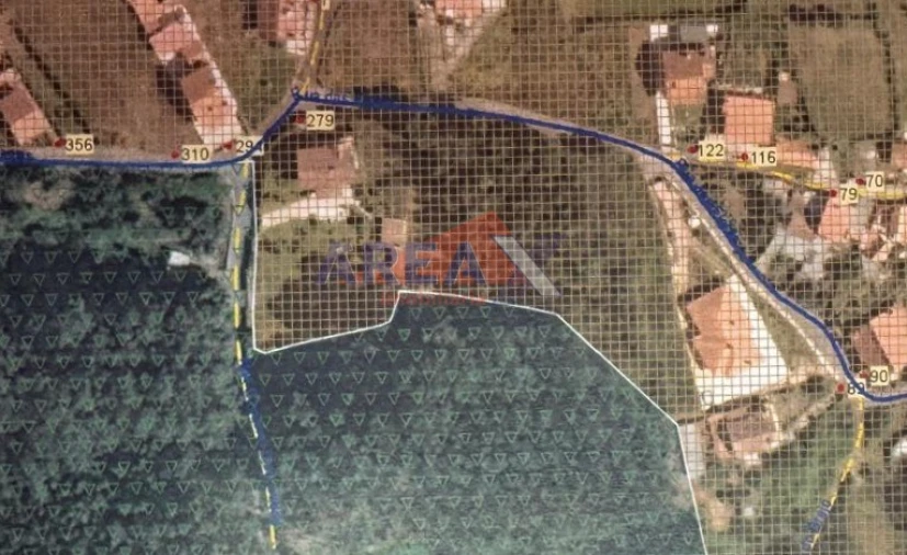 Terreno para Venda em Pinheiro da Bemposta, Travanca e Palmaz Foto 2