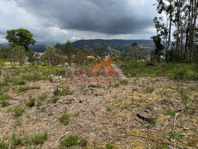 Terreno para Venda em Pinheiro da Bemposta, Travanca e Palmaz Foto 3