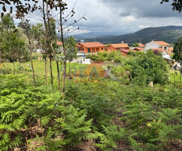 Terreno para Venda em Pinheiro da Bemposta, Travanca e Palmaz Foto 5