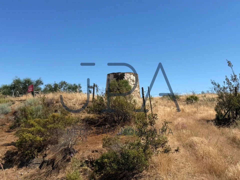 Terreno Agricola ou Rústico para Venda em Azinhal Foto 1