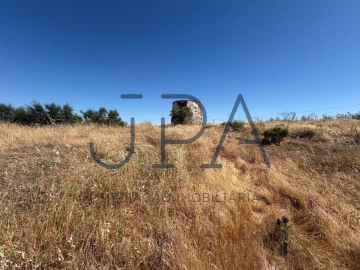 Terreno Agricola ou Rústico para Venda em Azinhal
