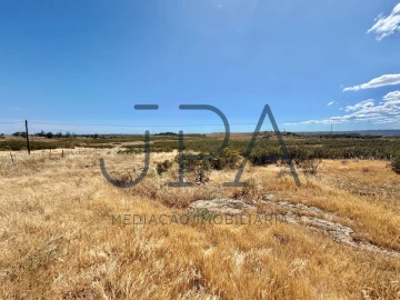 Terreno Agricola ou Rústico para Venda em Azinhal