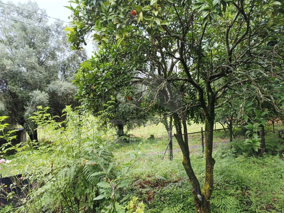 Moradia T3 para Venda em Barroselas e Carvoeiro Foto 16