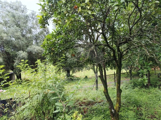 Moradia T3 para Venda em Barroselas e Carvoeiro Foto 16