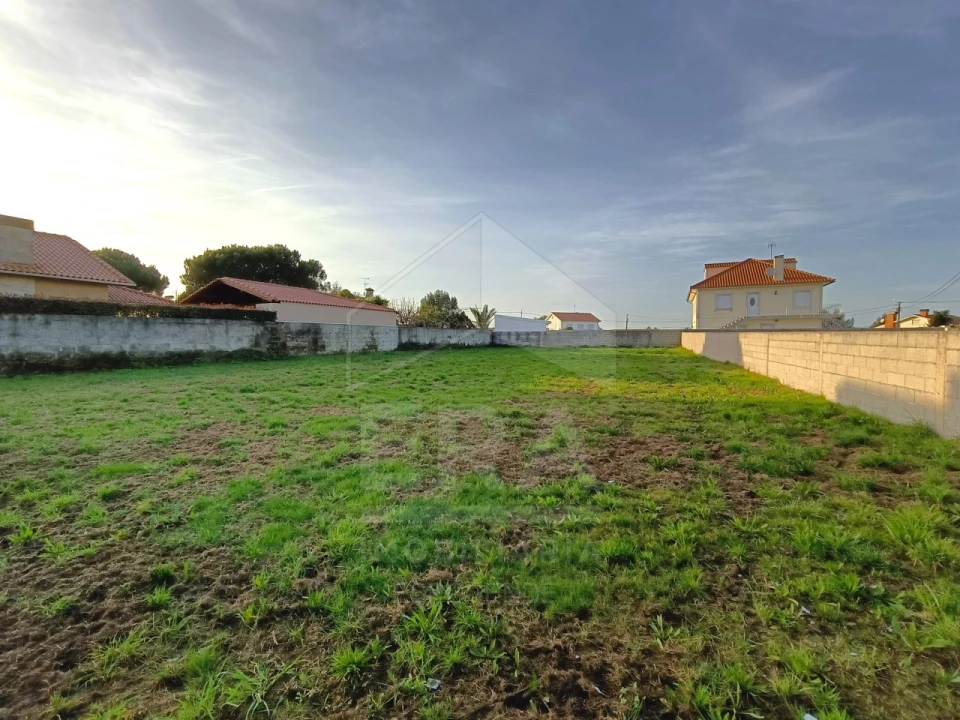 Terreno para Venda em Alvarães Foto 1