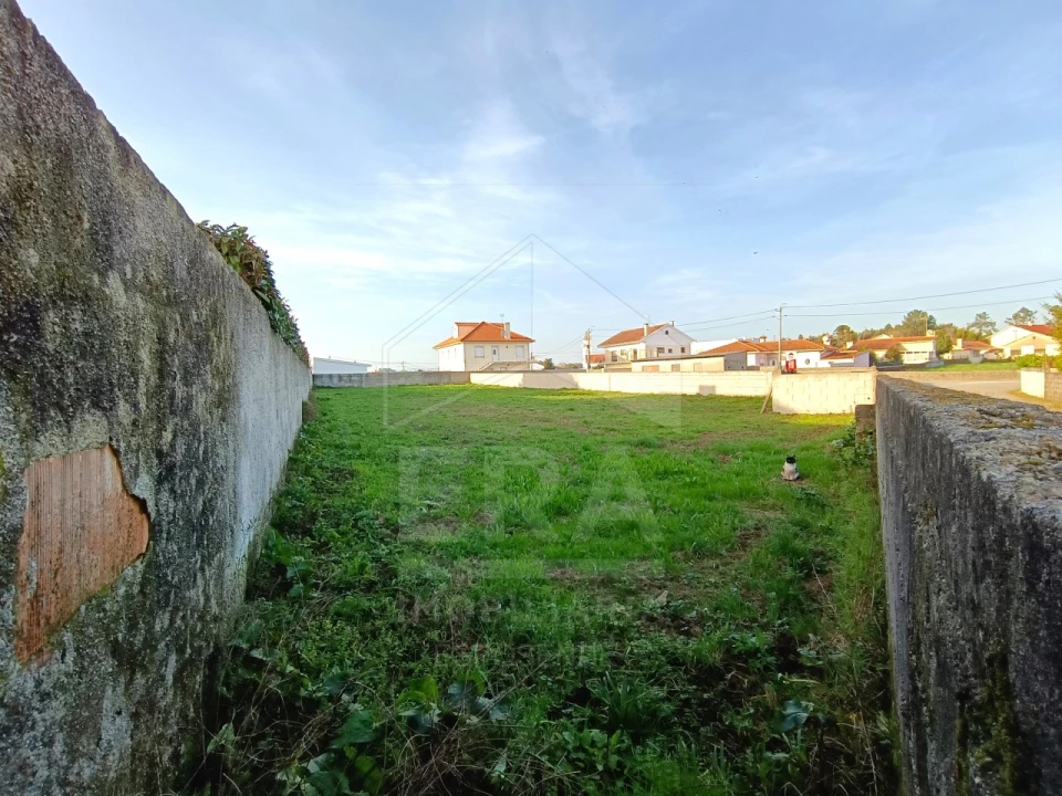 Terreno para Venda em Alvarães Foto 2