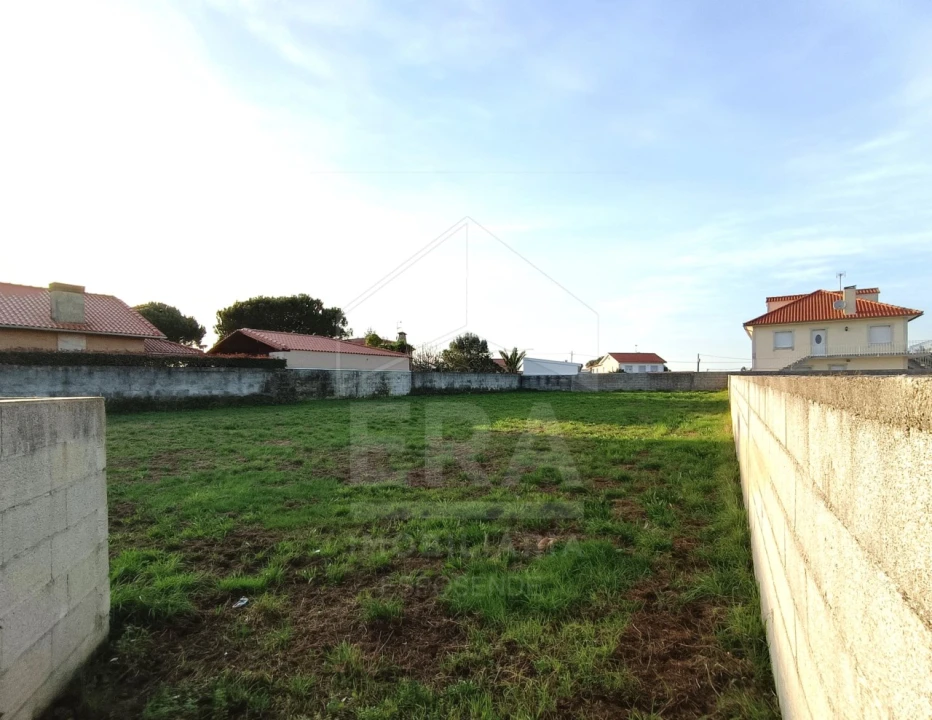 Terreno para Venda em Alvarães Foto 4