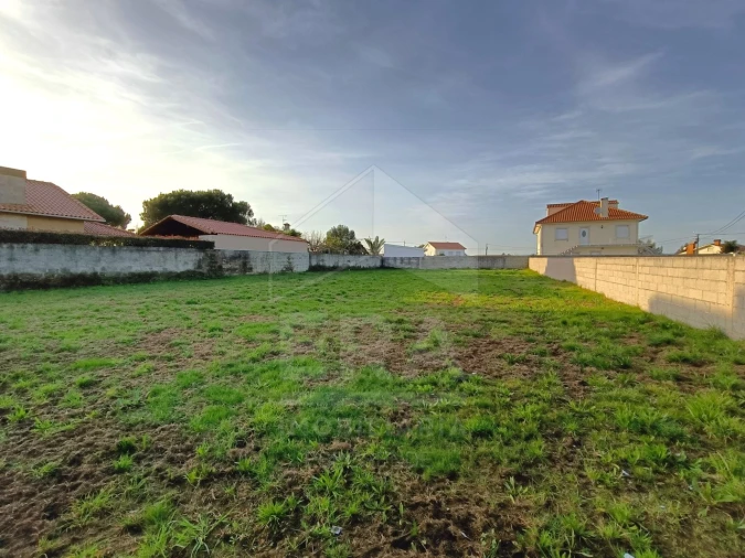 Terreno para Venda em Alvarães