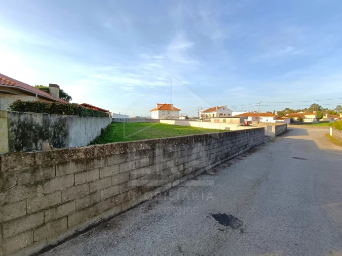 Terreno para Venda em Alvarães Foto 3