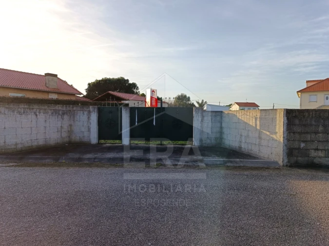 Terreno para Venda em Alvarães Foto 6