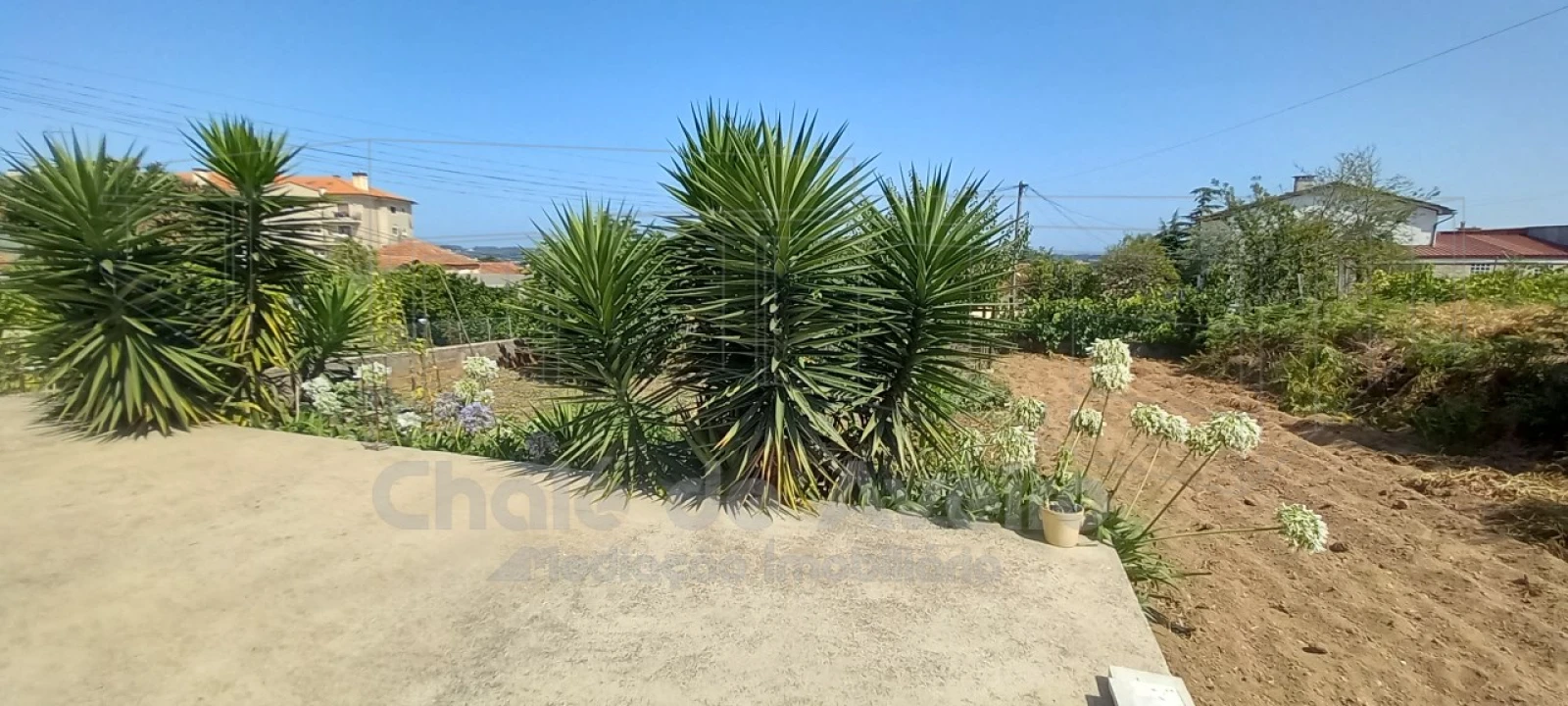 Moradia T4 para Venda em Águeda e Borralha Foto 42