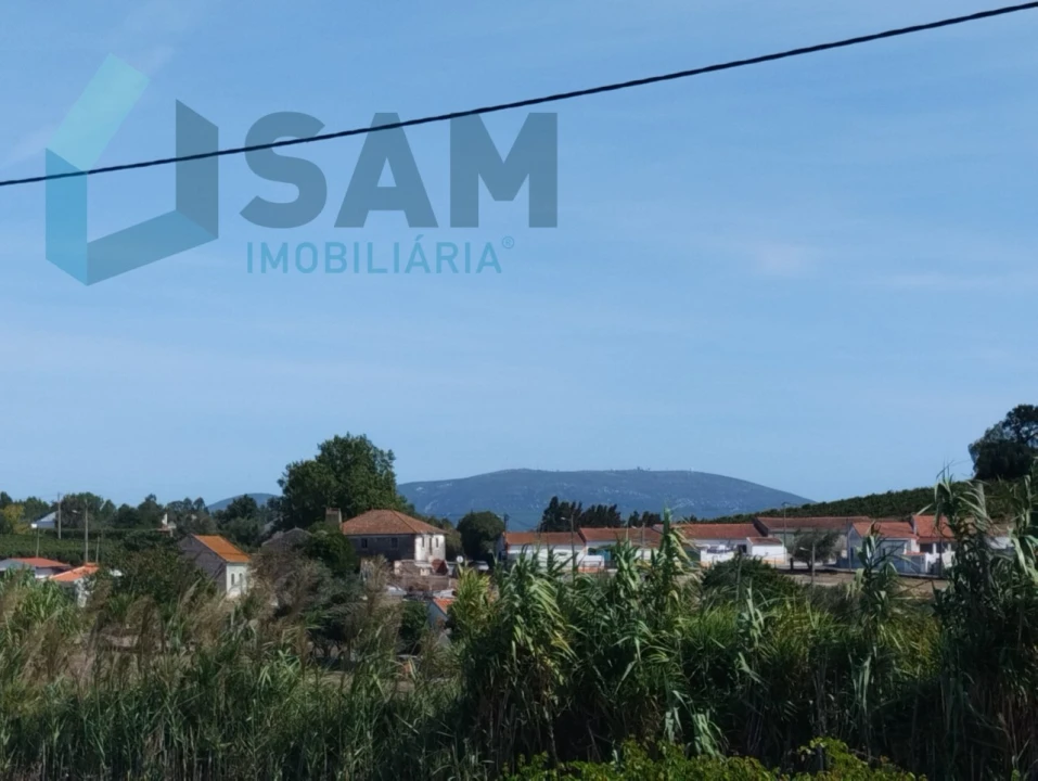 Terreno para Venda em Carvoeira e Carmões Foto 5