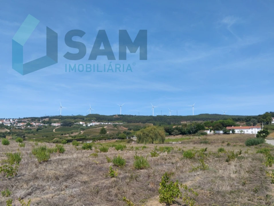 Terreno para Venda em Carvoeira e Carmões Foto 9