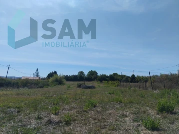 Terreno para Venda em Carvoeira e Carmões