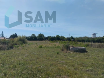 Terreno para Venda em Carvoeira e Carmões
