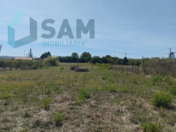 Terreno para Venda em Carvoeira e Carmões