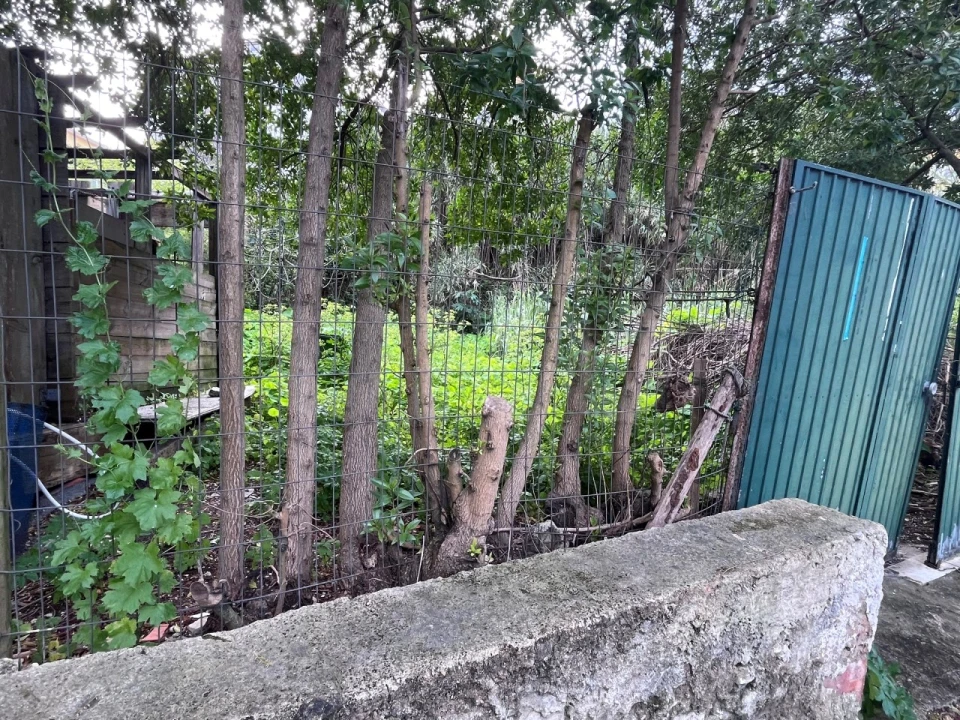 Terreno para Venda em Oeiras e São Julião da Barra, Paço de Arcos e Caxias Foto 12